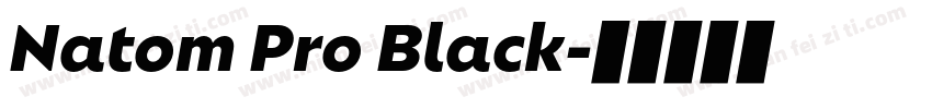 Natom Pro Black字体转换